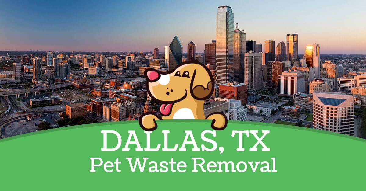 Dallas TX Pooper Scooper Service Super Scoopers
