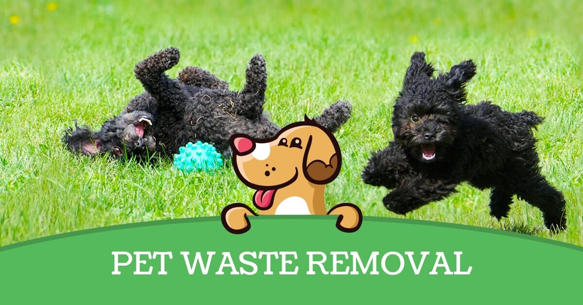 Pet Waste Removal In Southport IN