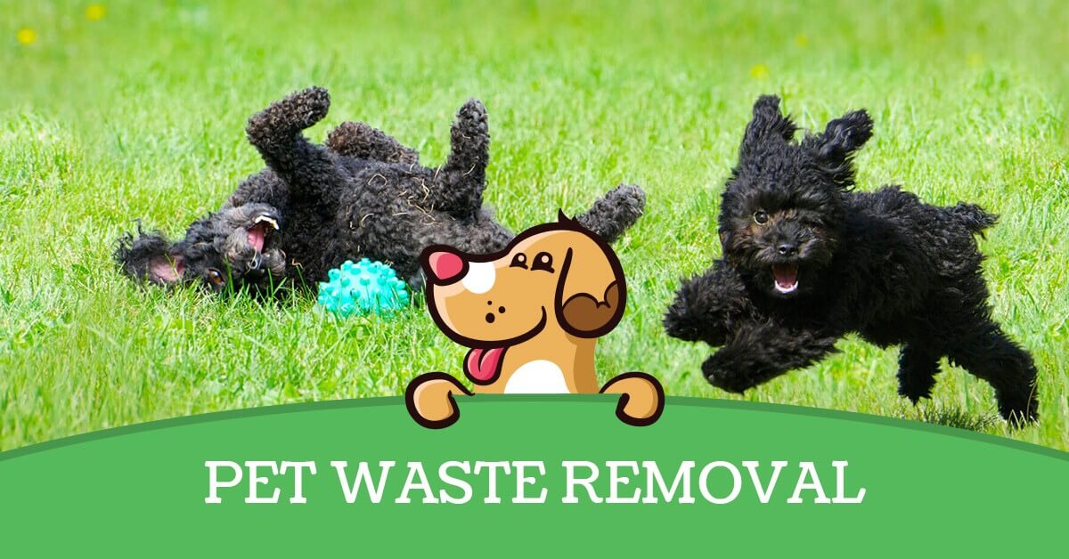 Pet Waste Removal In Indianapolis IN