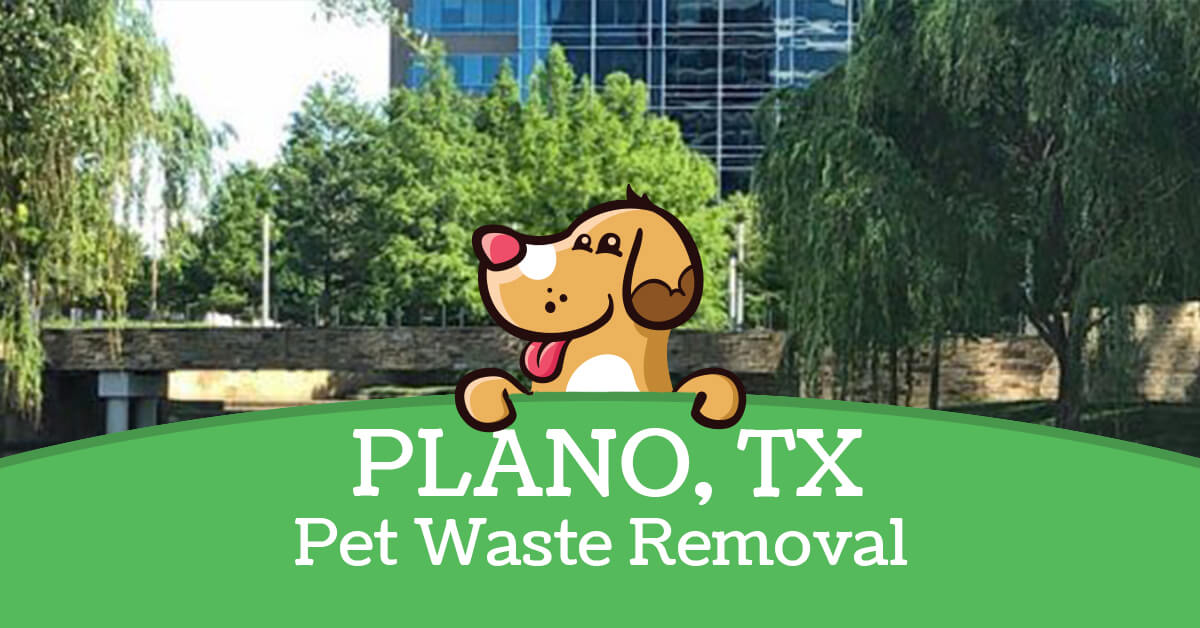Plano, TX Dog Poop Cleanup Service Super Scoopers