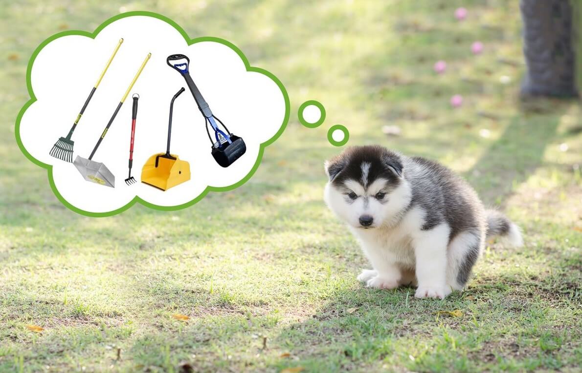 Poop Scooping Tool Reviews Super Scoopers