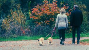 dog-friendly fall activities near me